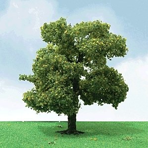 Sycamore Trees - Pro Elite -- 2 - 2-1/4′ 5.1 - 5.7cm pkg(3), N, JTT Miniature Tree 92210