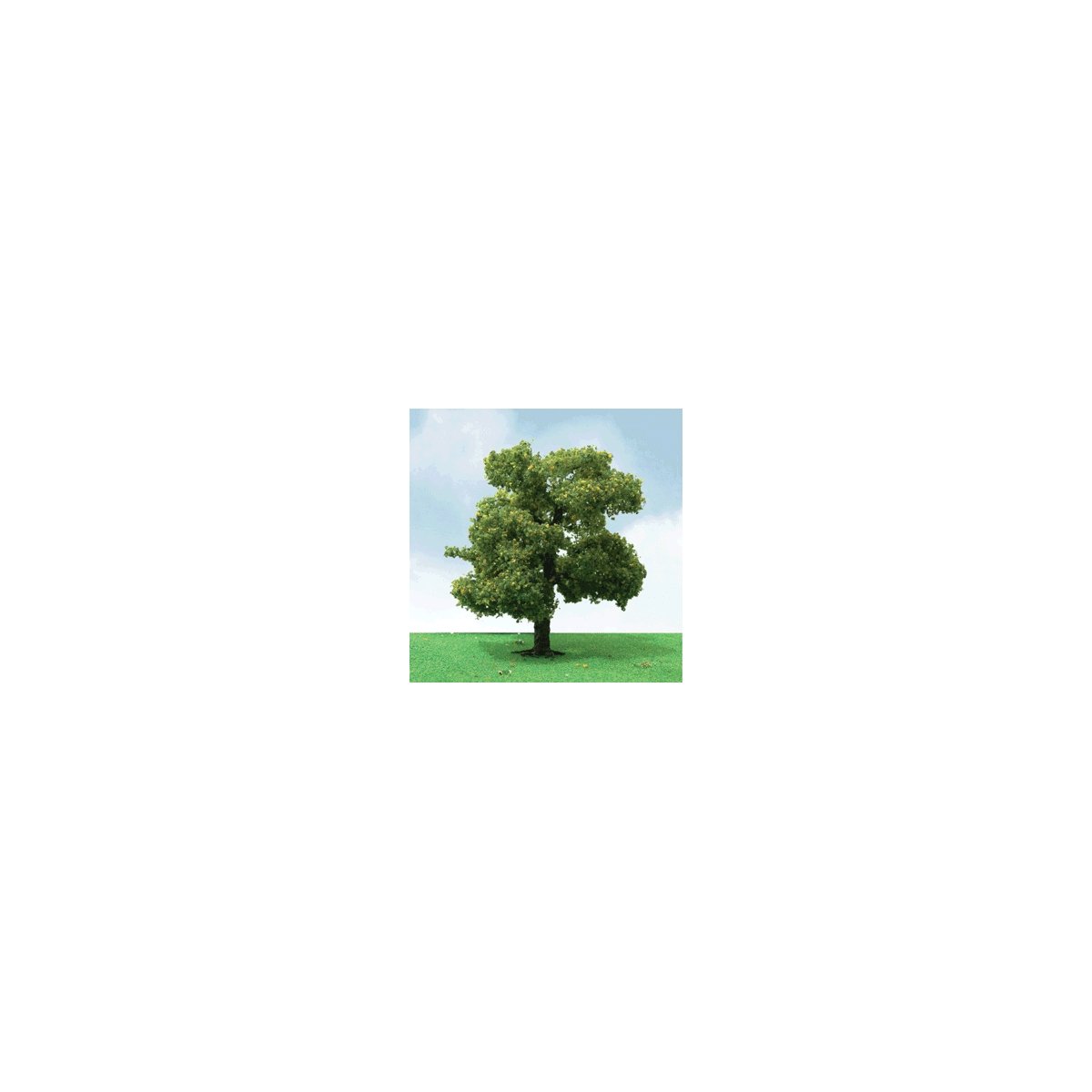 Sycamore Trees - Pro Elite -- 8′ 20.3cm, O, JTT Miniature Tree 92410