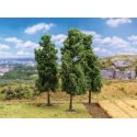 Poplar Trees -- 5-1/8′ 13cm Tall pkg(3), All Scales, Faller Gmbh 181576