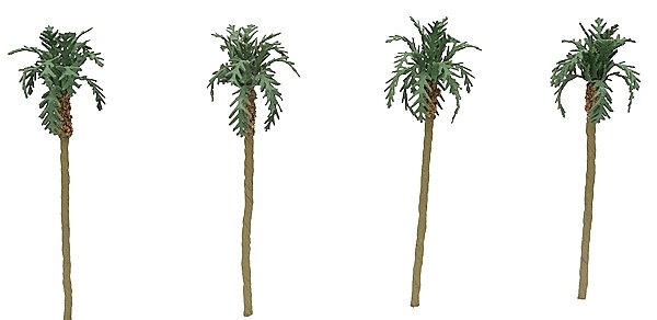 Professional Series Palm Trees -- 3′ 7.6cm Tall pkg(4), N, JTT Miniature Tree 94238