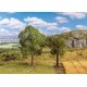 Lime and Checker Trees -- 1 of Each, HO, Faller Gmbh 181801