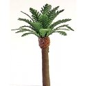 Professional Series Phoenix Palm Trees -- 2′ 5.1cm Tall pkg(4), N, JTT Miniature Tree 94353