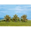 Orange Trees -- 1-9/16′ 4cm Tall pkg(3), All Scales, Noch Gmbh & Co 25114