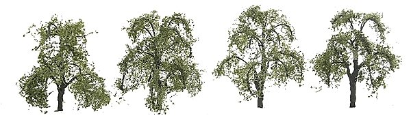 Ash Trees - Professional Series -- 1-1/2′ 3.8cm Tall pkg(4), N, JTT Miniature Tree 94422