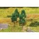 Beech Trees -- pkg(4), All Scales, Faller Gmbh 181377
