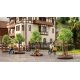 Young Trees w/Supports -- 4cm Tall 1-9/16′ pkg(6), HO, Noch Gmbh & Co 21538