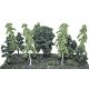 Assorted Trees -- 2-1/2 to 5′ 6.4 to 12.7cm pkg(12), All Scales, Heki/Mini Forest 305