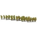 Apple Trees -- 13/16′ 2cm Tall pkg(24), ALL, Noch Gmbh & Co 21537