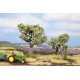 Olive Trees -- 1 Each: 2-3/8` 6cm Tall & 3-1/2` 9cm, ALL, Noch Gmbh & Co 21995