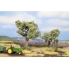 Olive Trees -- 1 Each: 2-3/8` 6cm Tall & 3-1/2` 9cm, ALL, Noch Gmbh & Co 21995