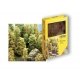 Nature Trees Kit -- Assorted Sizes, ALL, Noch Gmbh & Co 23100