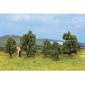 Bushes In Bloom pkg(5) -- 1-3/16 to 1-9/16′ 3 to 4cm, ALL, Noch Gmbh & Co 25420