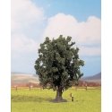 Trees -- Oak - 6-5/16′ 16cm, HO, Noch Gmbh & Co 25860