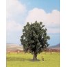 Trees -- Oak - 6-5/16′ 16cm, HO, Noch Gmbh & Co 25860