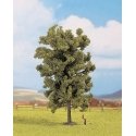 Trees -- Linden (Lime) 6-5/16′ 19cm Tall, HO, Noch Gmbh & Co 25880