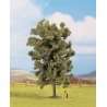 Trees -- Linden (Lime) 6-5/16′ 19cm Tall, HO, Noch Gmbh & Co 25880