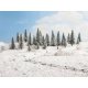 Snow-Covered Fir Trees -- 2 - 5-1/2′ 5-14cm Tall pkg(10), ALL, Noch Gmbh & Co 26928
