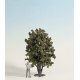 Trees -- Deciduous 24cm, G, Noch Gmbh & Co 68015