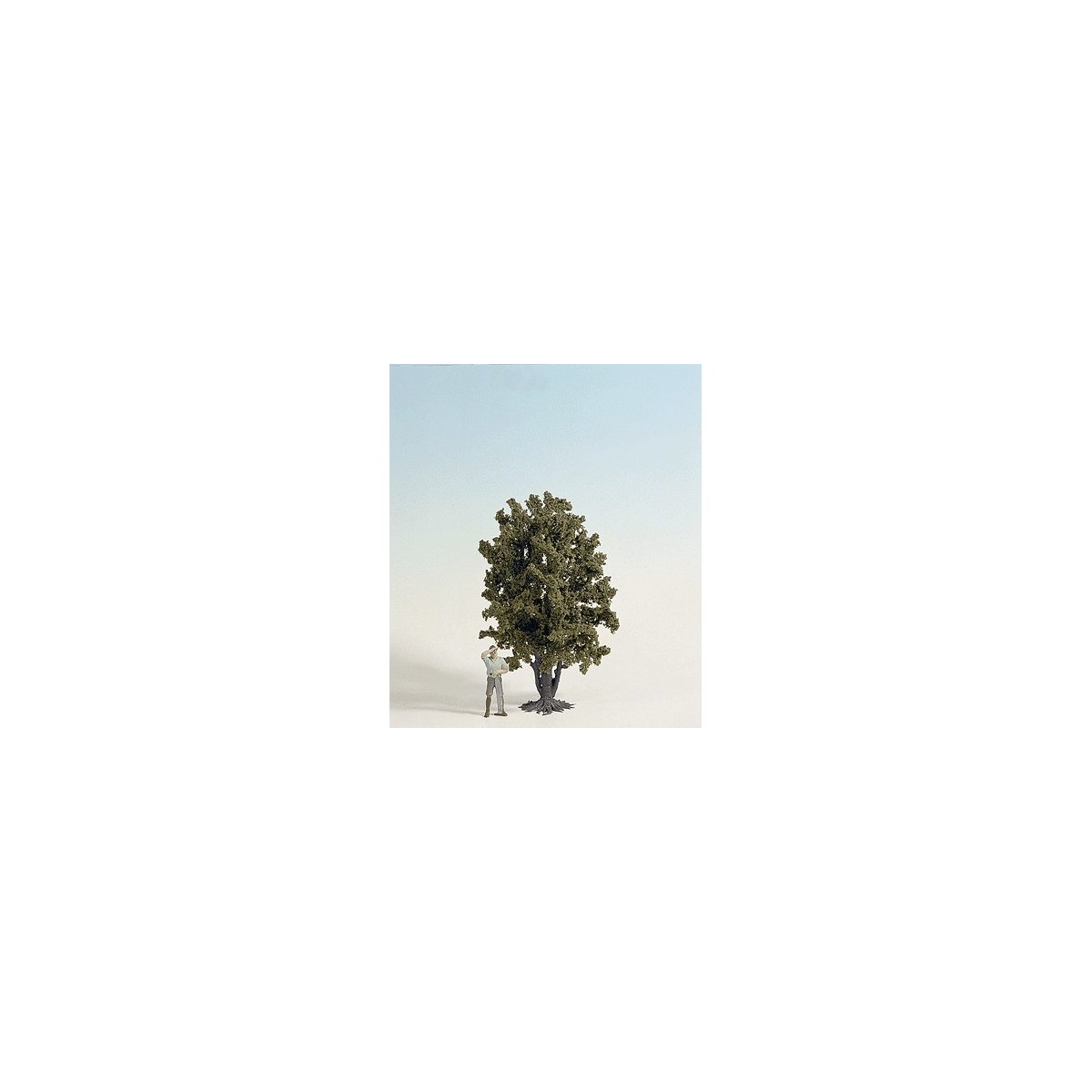 Trees -- Deciduous 24cm, G, Noch Gmbh & Co 68015