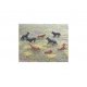 Dogs -- pkg(8), HO, Peco 5102