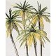 Palm Trees -- pkg(4), HO, Preiser Kg 18600