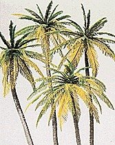 Palm Trees -- pkg(4), HO, Preiser Kg 18600
