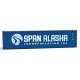 40′ Hi-Cube Corrugated-Side Container - Assembled -- Span Alaska (blue, white), HO, Walthers SceneMaster 8273