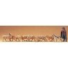 Shepherd w/Dog & Eight Sheep, O, Preiser Kg 65325