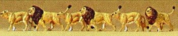 Animals -- Lions pkg(6), N, Preiser Kg 79713