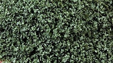 SuperLeaf Scale Model Leaf Flake - Shaker - 16oz 454g -- Olive Green, ALL, Scenic Express 6152