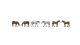 Horses -- Set 2 pkg(6), N, TomyTec Co LTD 328155