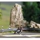 Super Racer 1 - Action Set -- Silver Motorcycle with Rider, 3 Sections of Highway Guardrails, HO, Busch Gmbh & Co Kg 7940