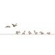 Wild Geese -- pkg(8), HO, Busch Gmbh & Co Kg 1196