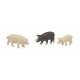 Pigs -- pkg(3), N, TomyTec Co LTD 267799
