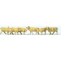 Light Brown Cows -- pkg(6), N, Preiser Kg 79229