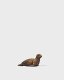 Animal -- Seal, HO, Preiser Kg 29518