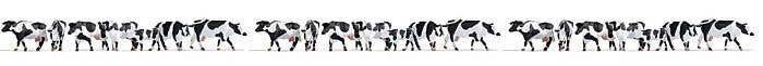 Cows -- Black and White pkg(21), HO, Walthers SceneMaster 6092