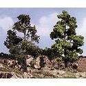 Realistic Trees Kits(TM) - Green Deciduous -- Medium Green - 3 to 7′ 7.6 to 17.8cm Tall pkg(6), ALL, Woodland Scenics 1112