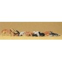 Cats & Dogs -- Assorted pkg(12), HO, Preiser Kg 14165