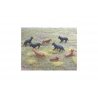 Dogs -- pkg(8), HO, Peco 5102