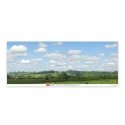 Backscene Photographic Background 95 x 13′ 240 x 33.3cm -- Water Meadow, All Scales, Peco SKP05