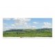 Backscene Photographic Background 95 x 13′ 240 x 33.3cm -- Water Meadow, All Scales, Peco SKP05