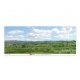 Backscene Photographic Background 95 x 13′ 240 x 33.3cm -- Water Meadow, All Scales, Peco SKP05