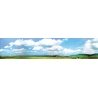 Background Scene - 153 x 25-9/16′ 388 x 65cm -- Black Forest Baar Extention, All Scales, Faller Gmbh 180511