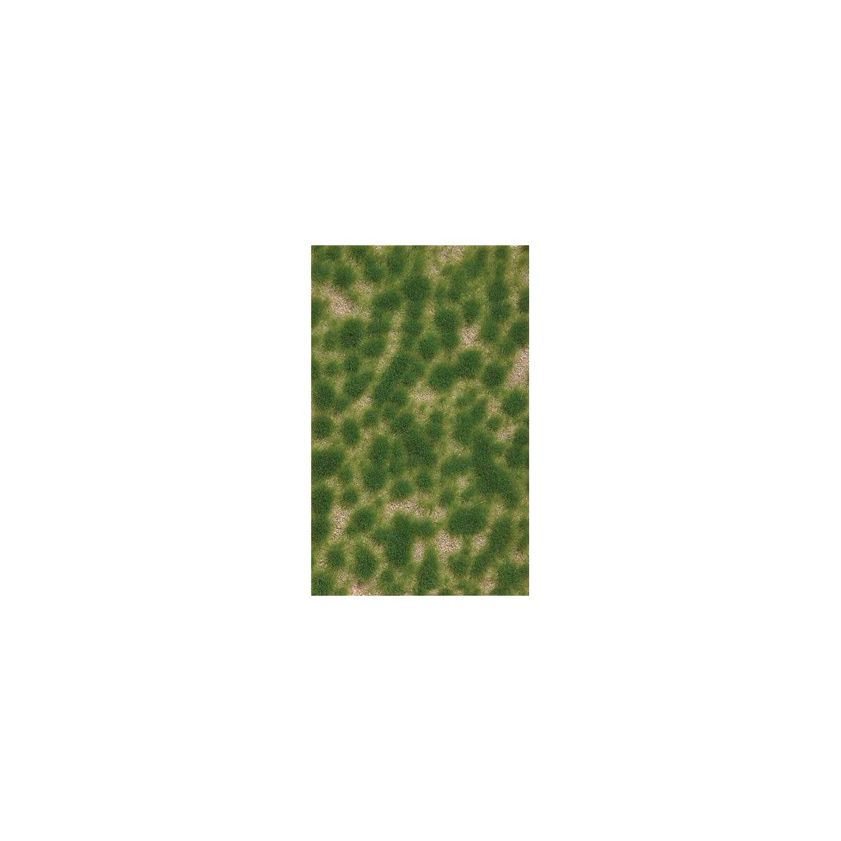 Grass Tuft Sheet -- Long Spring Tufts 3/16` .4cm Tall, 5-7/16 x 3-7/16` 13.8 x 8.8cm, All Scales, Busch Gmbh & Co Kg 3516