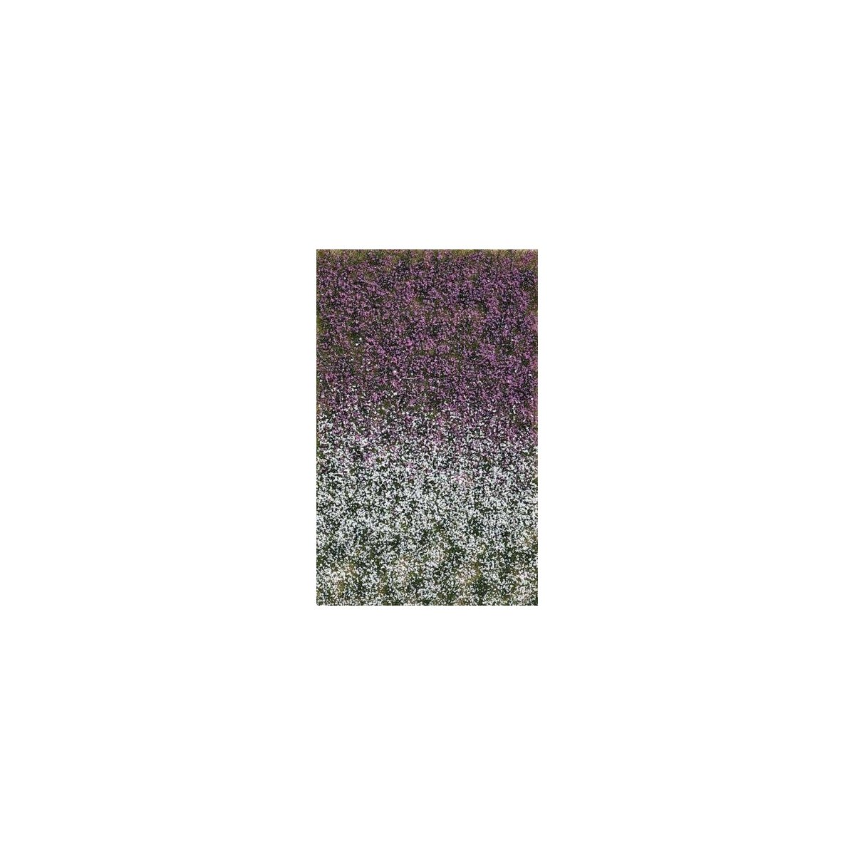 Grass Tuft Sheet -- Late Summer Blossom Tufts 3/16` .4cm Tall, 5-7/16 x 3-7/16` 13.8 x, All Scales, Busch Gmbh & Co Kg 3548