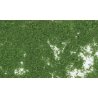 Foliage - 90.7 Square Inches 585 Square cm -- Medium Green, All Scales, Woodland Scenics 52
