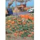 Pumpkin Patch -- Kit - 80 pumpkins (assorted sizes) & eight vines, HO, Walthers SceneMaster 1115