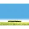 Hedges -- Light Green 4 x 3/8 x 3/8′ 10 x 1 x 1cm, HO, Faller Gmbh 181398