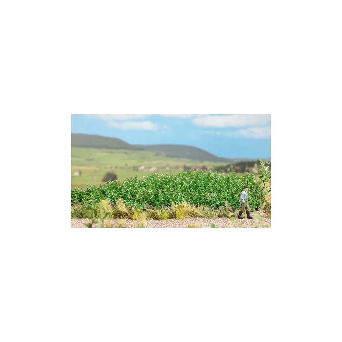 Potato Plants -- Kit pkg(30), HO, Busch Gmbh & Co Kg 1266
